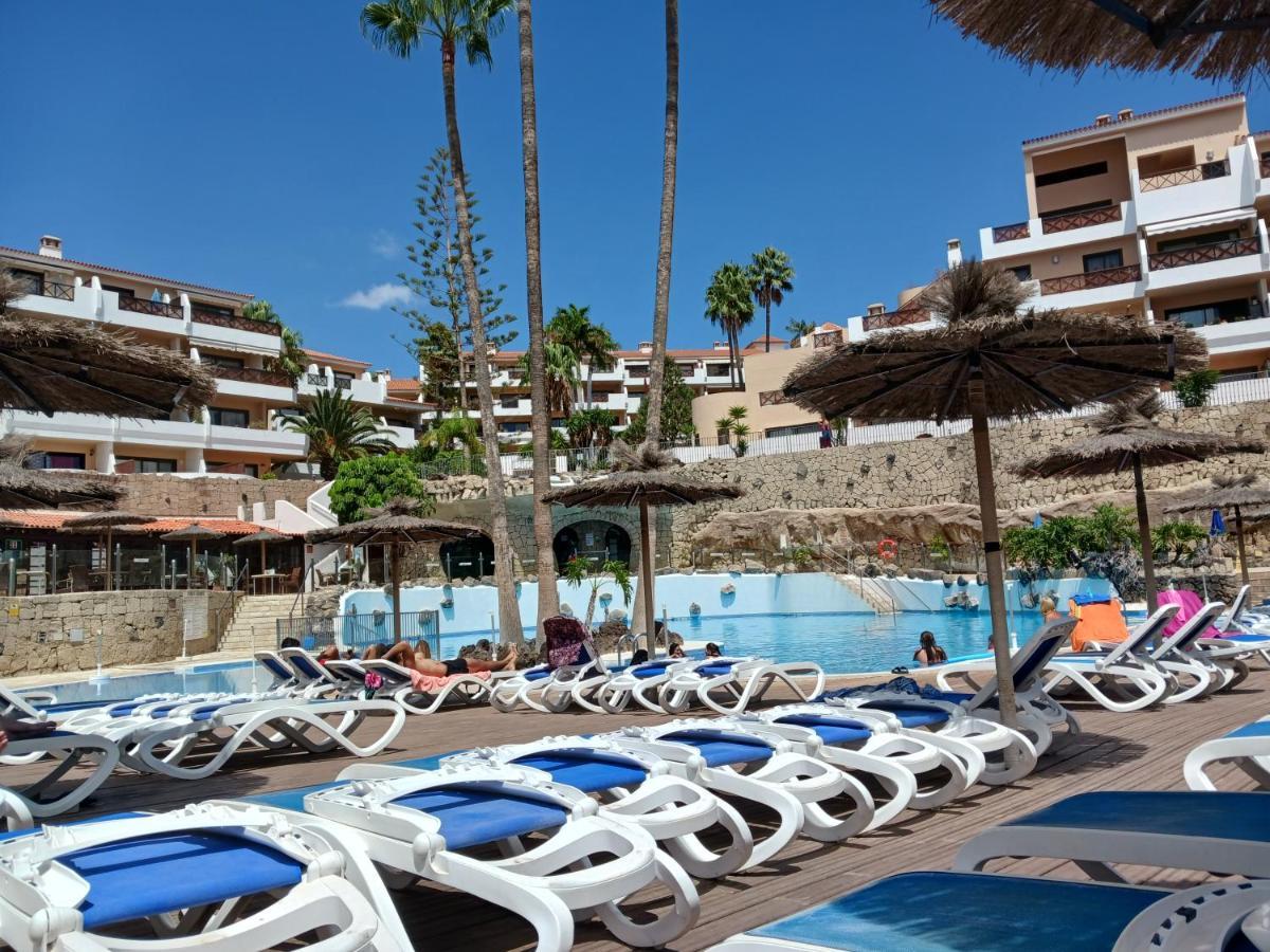 Chillout Studio Albatros In Toller Anlage Mit Pool San Miguel de Abona Exterior photo